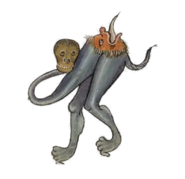 Hybrid grotesque from a medieval manuscript margin